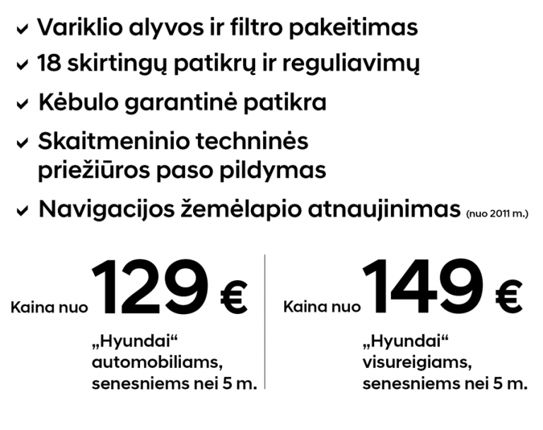 „Hyundai Eco-service“